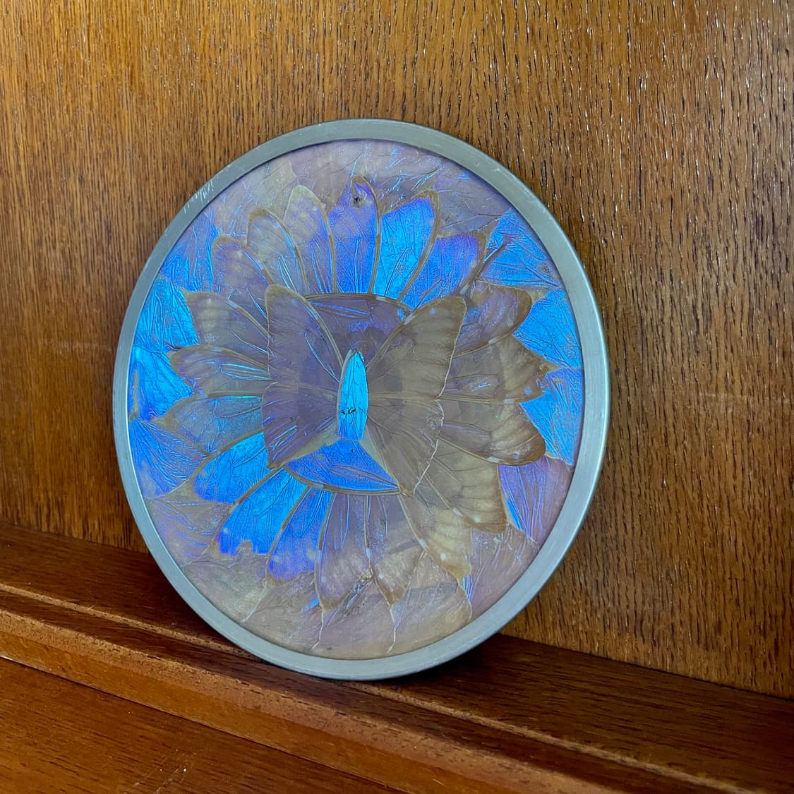 [mexican vintage] 빈티지 멕시코 모르포나비 주석 액자 접시 상품이미지4