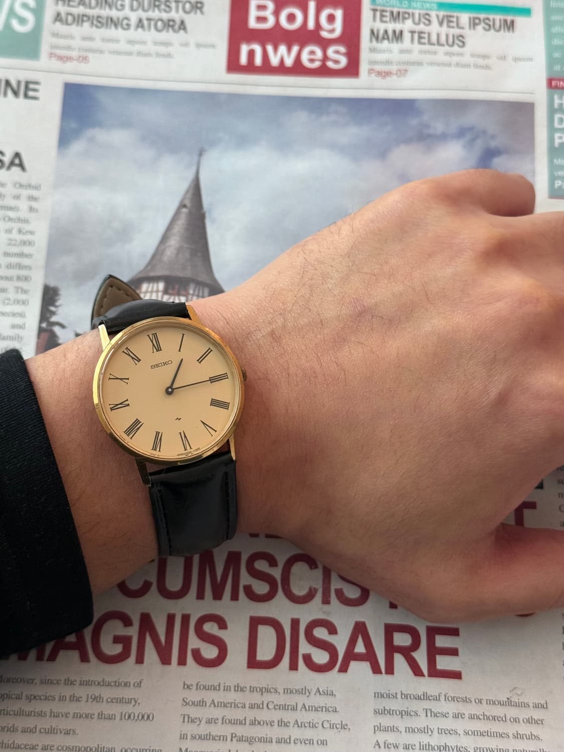 세이코 Seiko 샤리오 골드 수동  상품이미지4