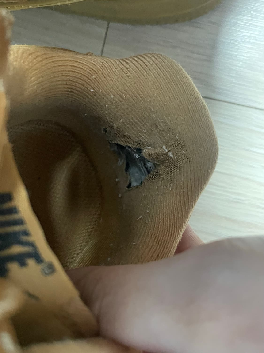 된장포스 225 상품이미지5