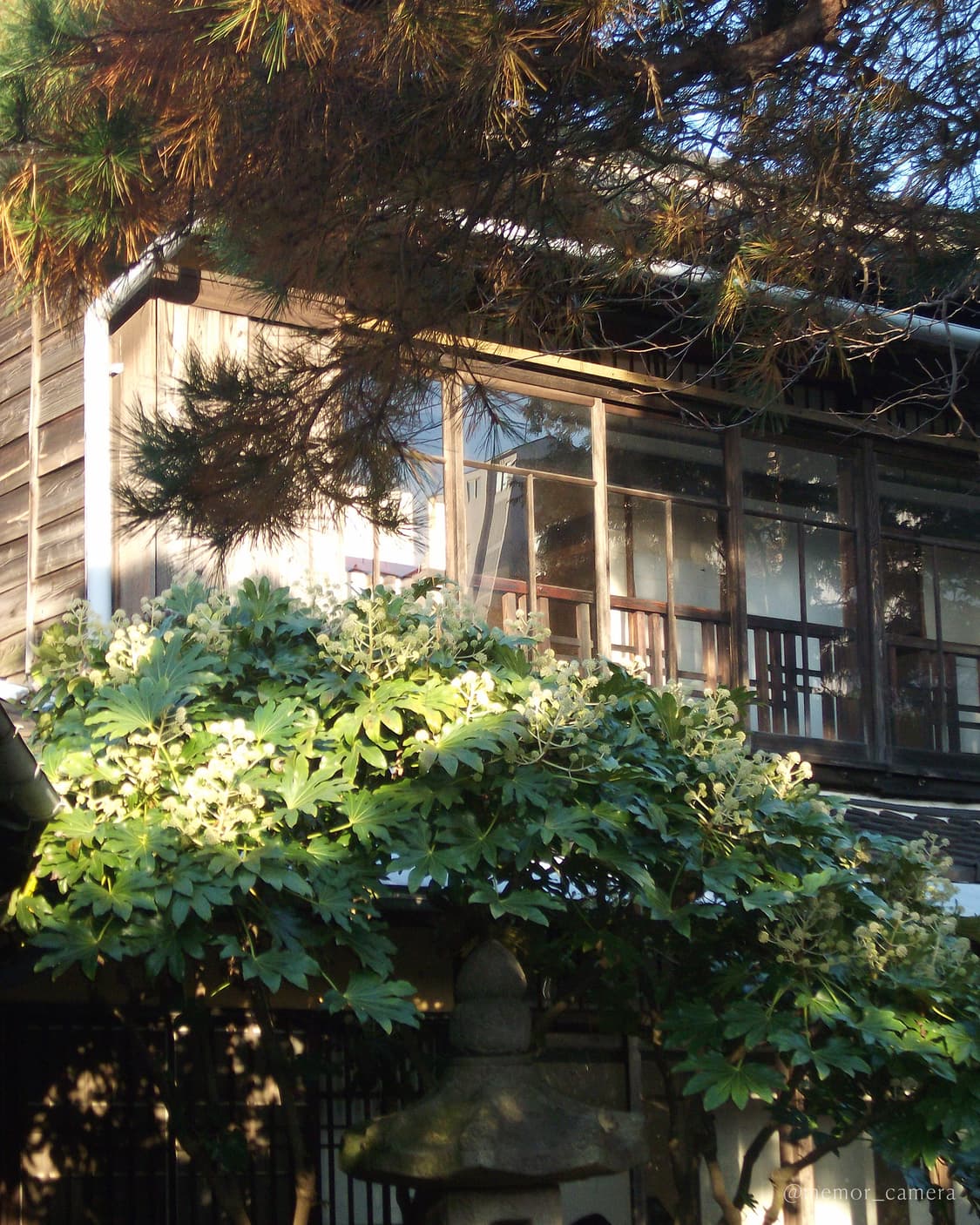 블러리/뽀용한느낌🤍FUJIFILM FINEPIX JV100 후지필름 상품이미지9