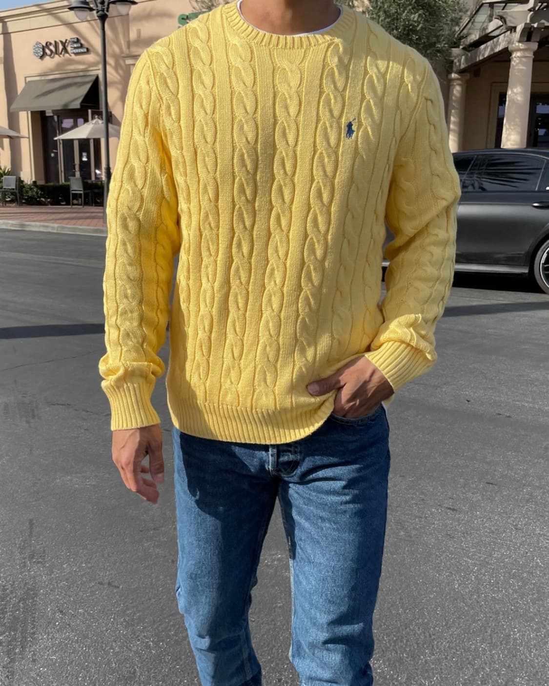 폴로 코튼 니트 L 상품이미지1