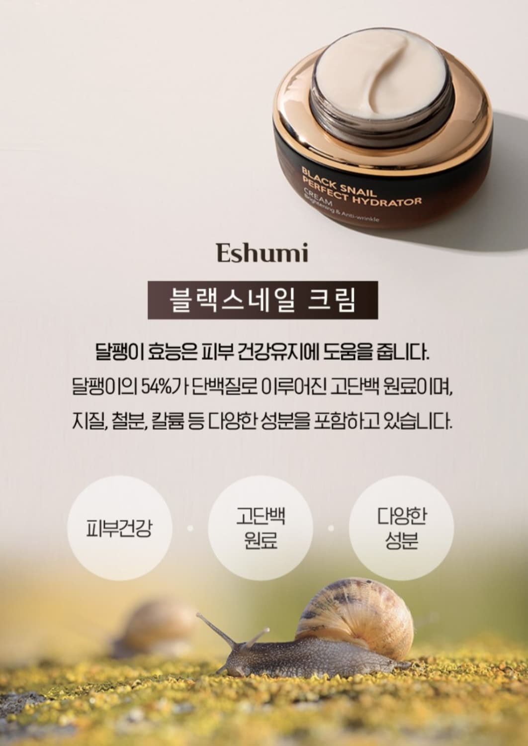 애슈미 블랙 스네일 스킨케어 6종 스킨 로션 에센스 앰플세럼 아이크림 수 상품이미지8