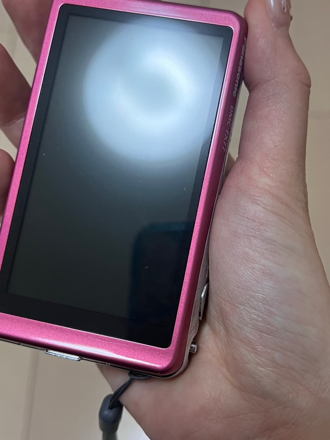 빈티지디카 루믹스 fx77 라이카 렌즈 ss 급 풀박스 (일본어 지원)  상품이미지5