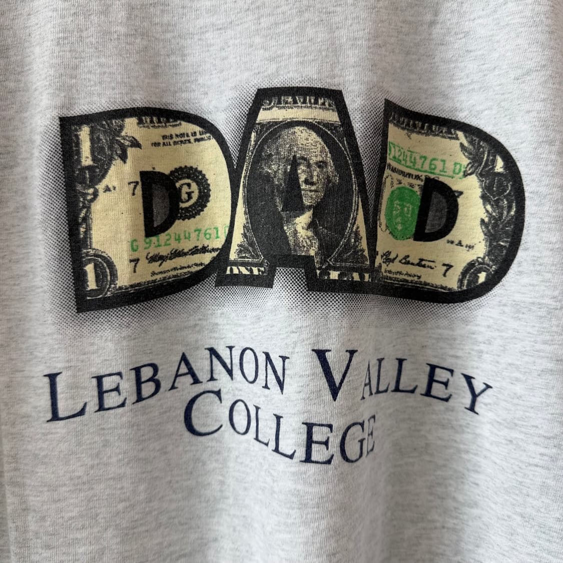 90s Vintage Lebanon Valley College 상품이미지2