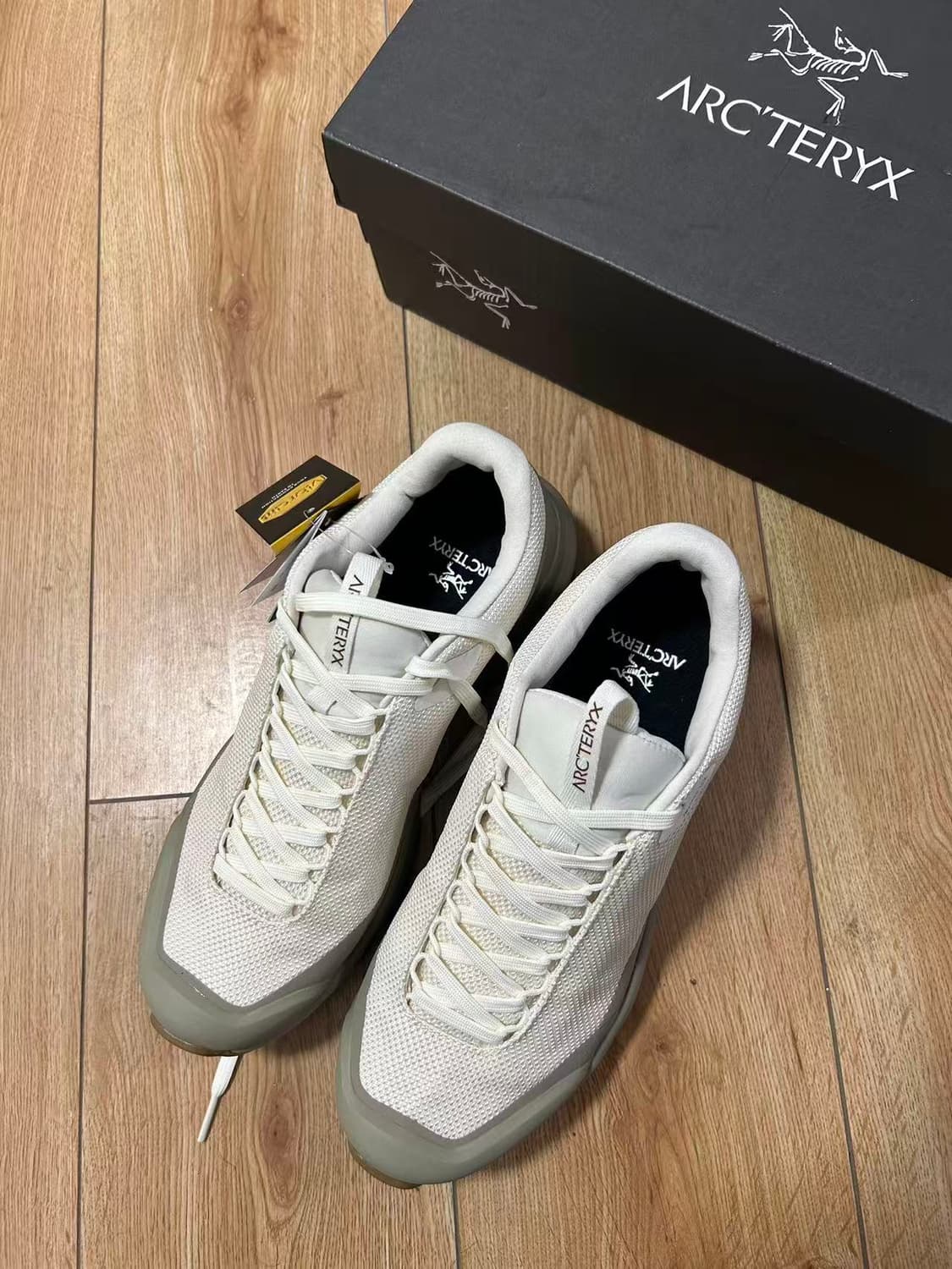 아크테릭스 에어리어스 FL 2 고어텍스 아크틱 실크 스모크 블러프 상품이미지4