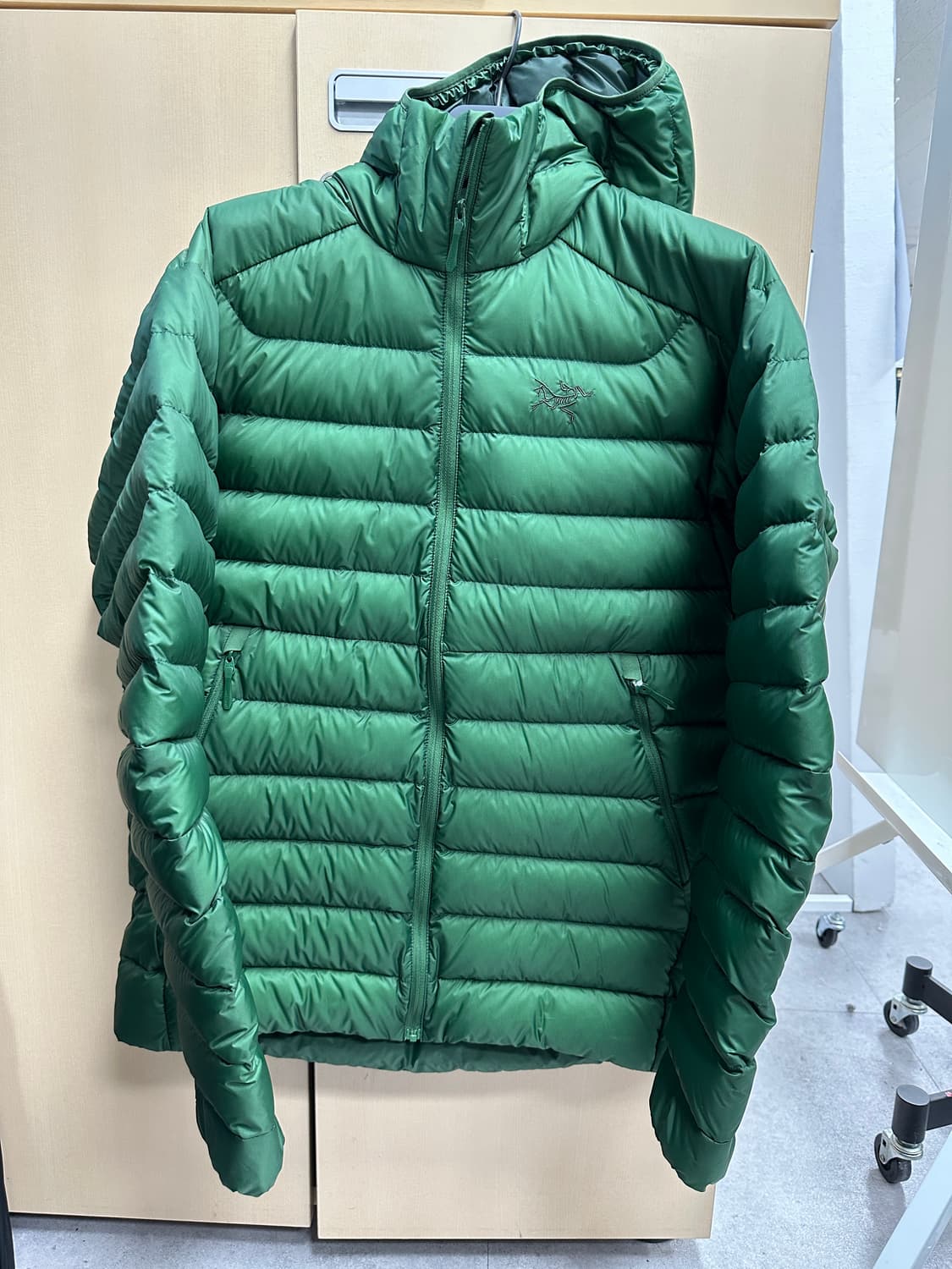 아크테릭스 세륨(Arc’teryx Cerium)후디 에덴그린 M 상품이미지1