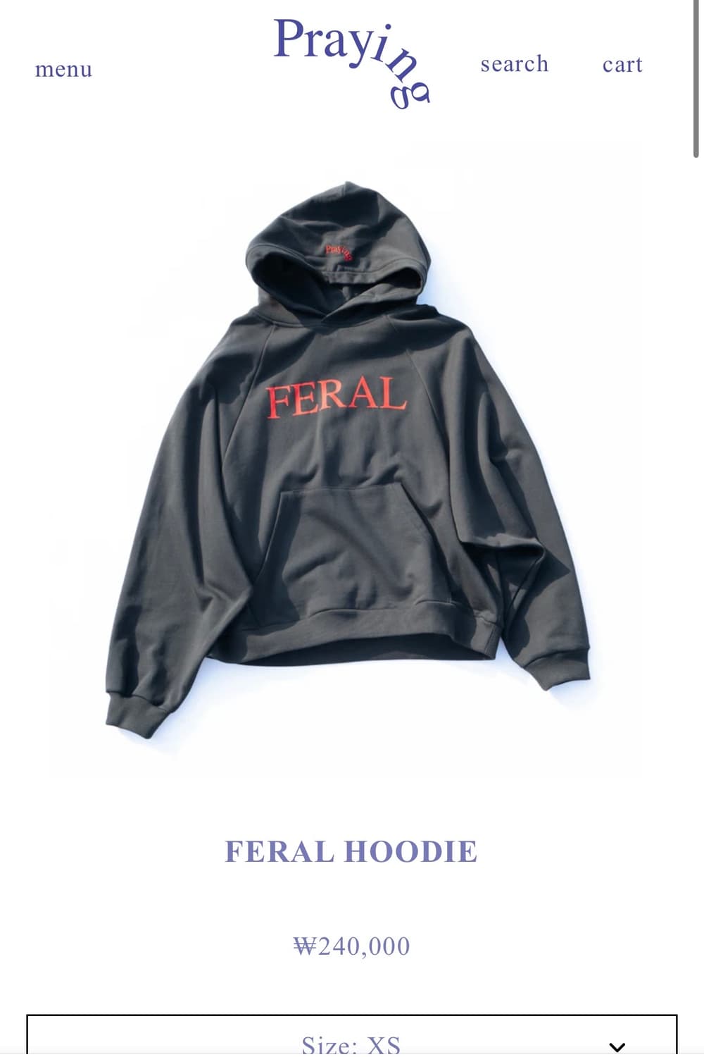 praying feral hoodie 상품이미지5