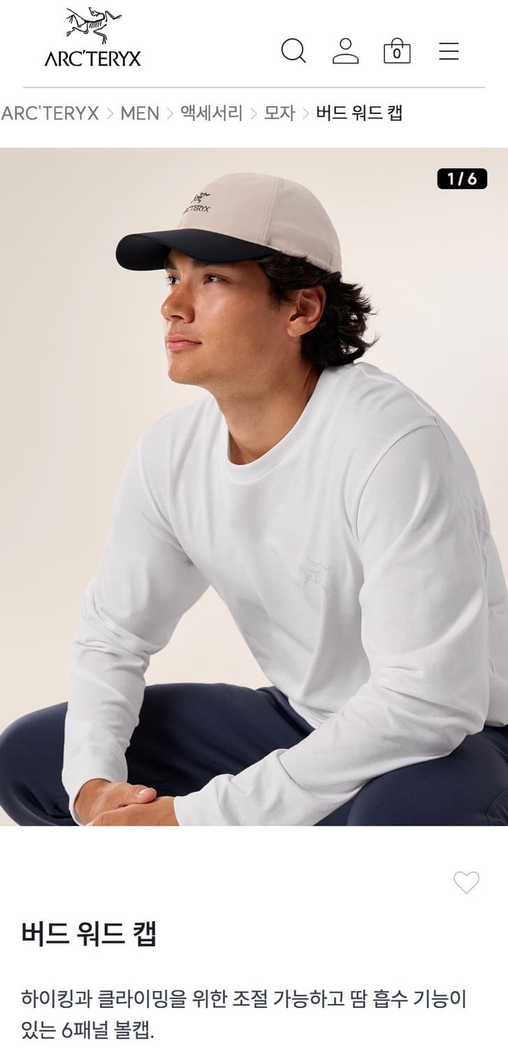 아크테릭스 버드 워드 캡 상품이미지4