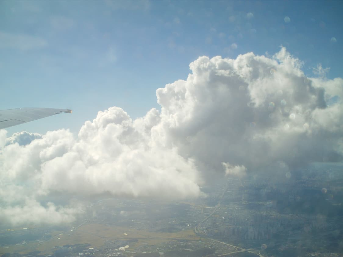 소니 블로기 pm5 (작례O) 상품이미지4