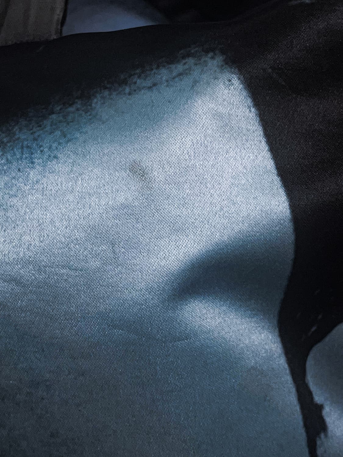 Raf simons Eastpak backpack 상품이미지4