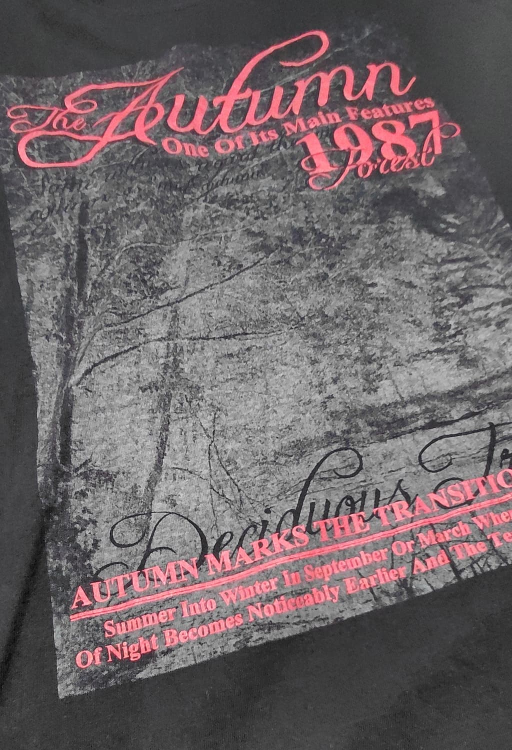 ZEKY 오텀 그래픽 롱 슬리브 티셔츠 (사이즈 M) 상품이미지9