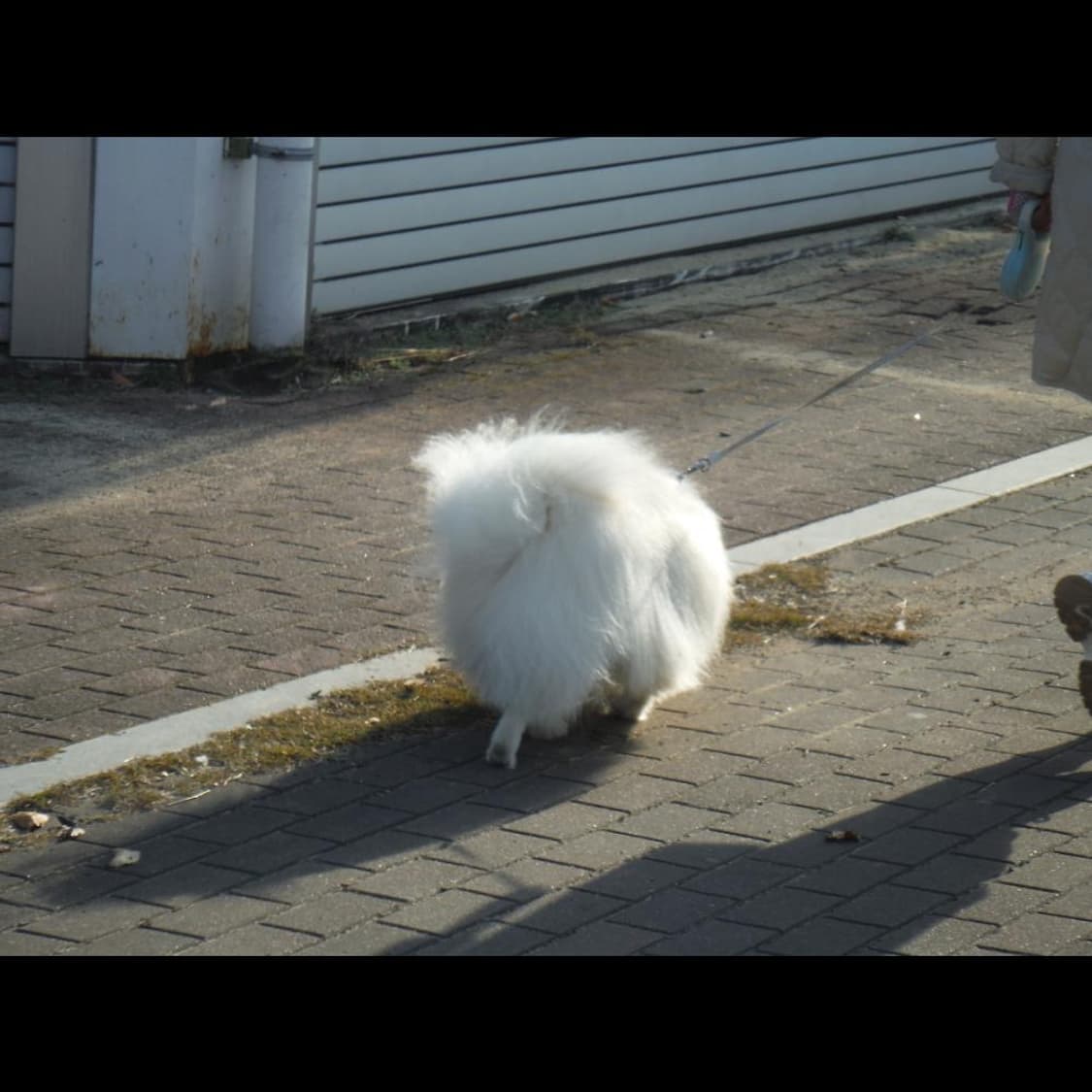 후지필름 후지 XP70  케이스 선셋 오렌지  빈티지 디카 디지털카메라 상품이미지5