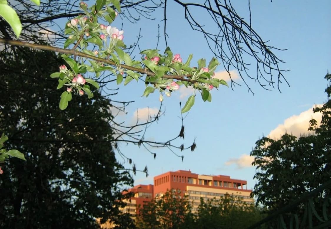 희귀) 니콘 쿨픽스 s6100 디카 상품이미지5