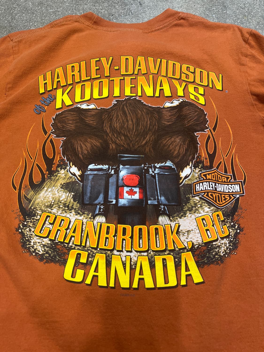 00‘s 할리데이비슨 코테네이즈 롱 슬리브 티 상품이미지4