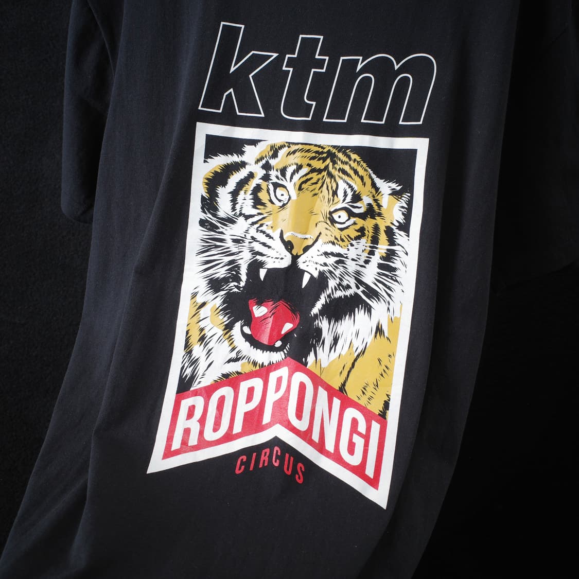 Ketsumeishi / KTM 상품이미지3