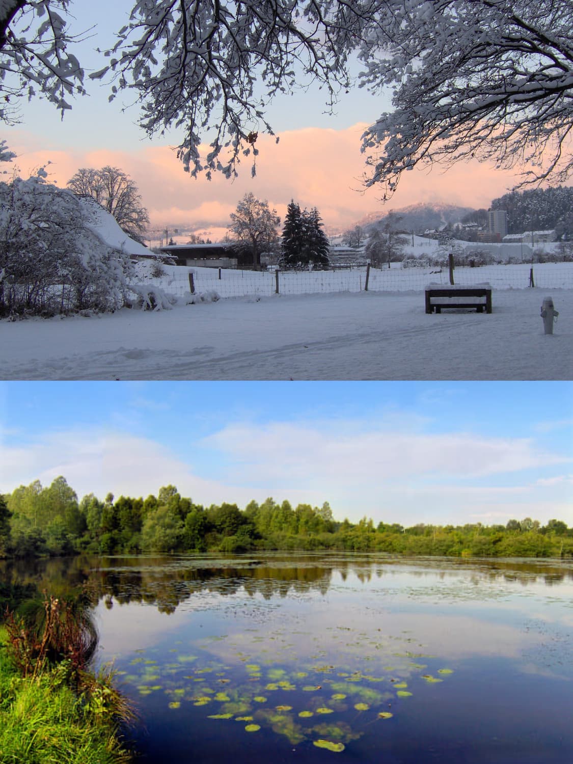 작례 ㅇ 뽀용 포토스마트 포스 m407 디지털카메라 디카 빈티지 상품이미지3