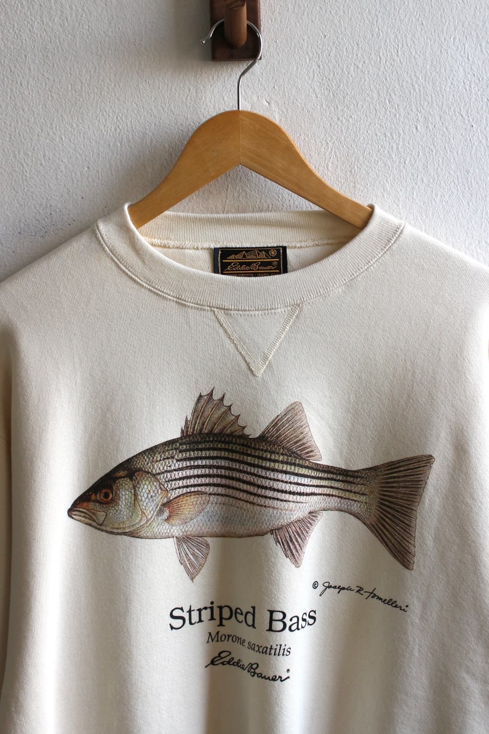 90s 에디바우어 배스 프린트 스웻셔츠 상품이미지6