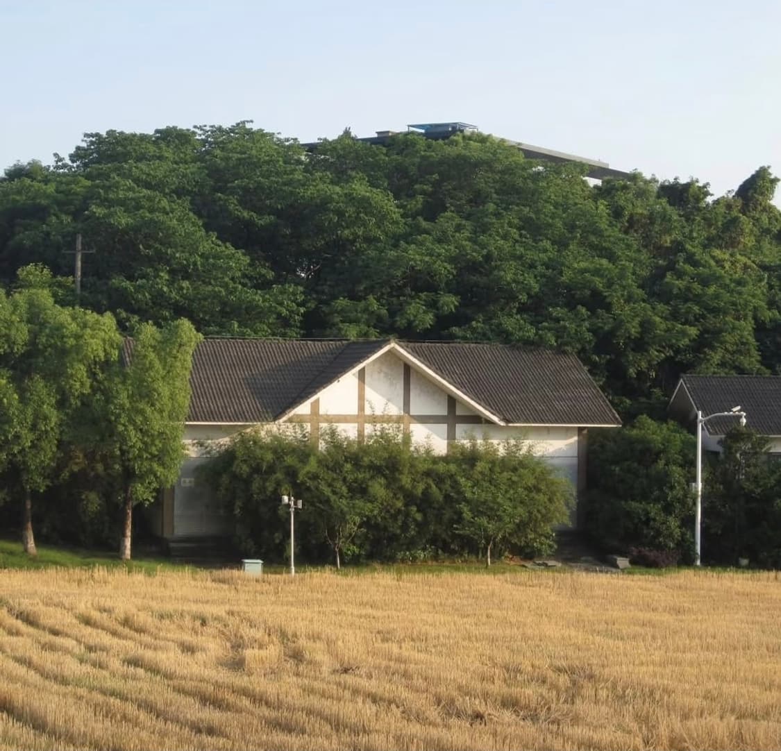 ✨ 파나소닉 루믹스 FH8 로즈골드 🌸 화사하고 로맨틱한 인물샷 상품이미지10