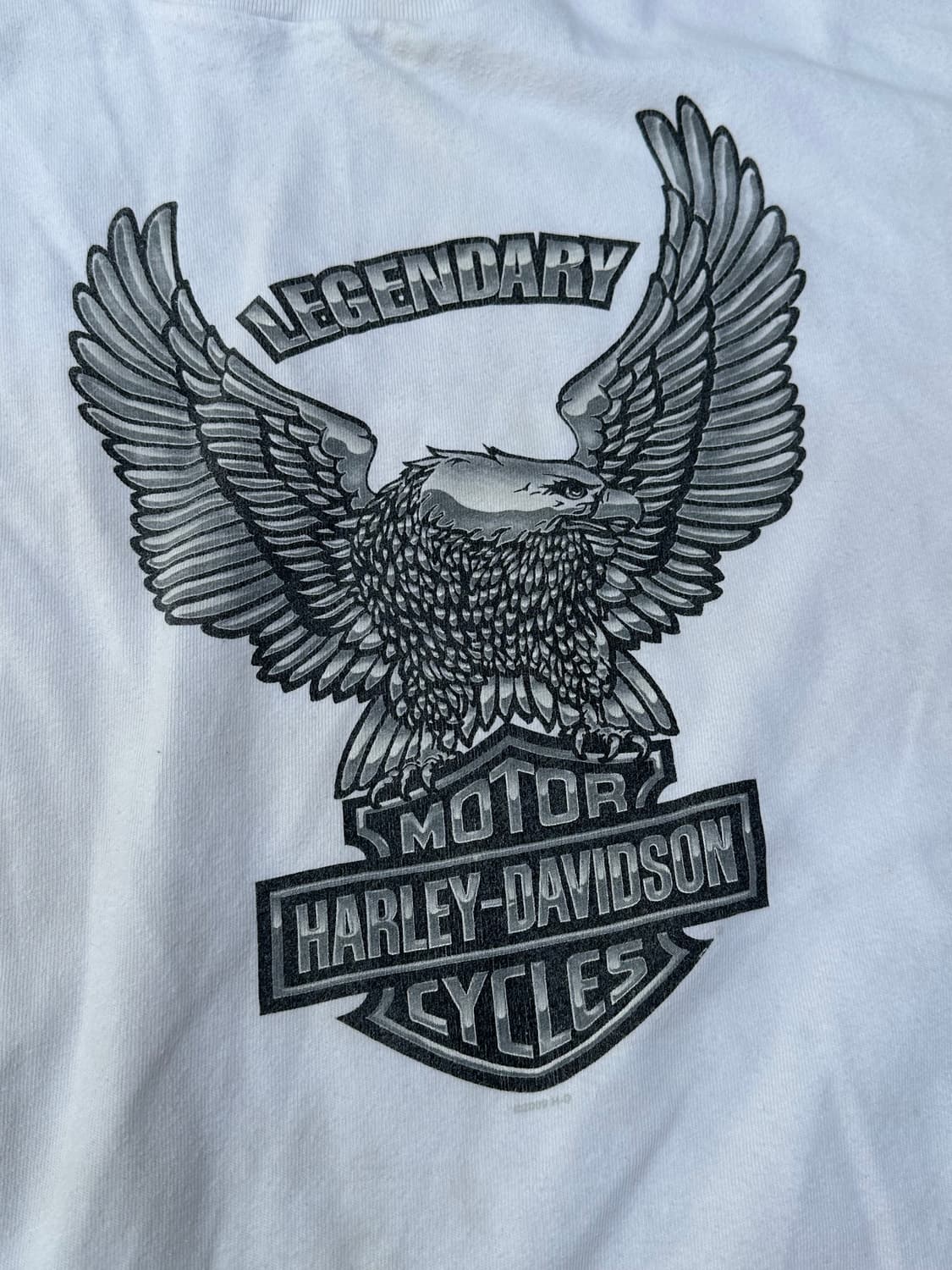 [할리데이비슨] •Vintage Upwing Eagle Tee 상품이미지2