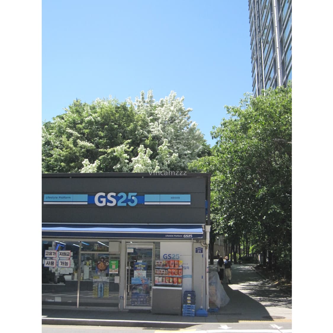 Canon 캐논 익서스 IXUS 65 (파워샷630) 디지털카메라 상품이미지10
