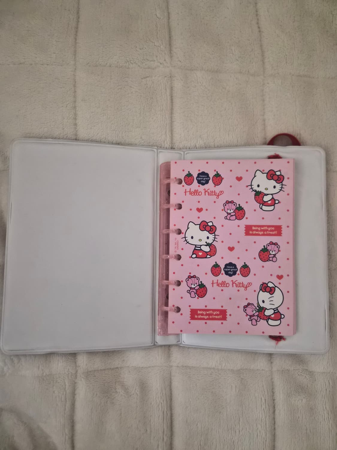 고전 헬로키티 다이어리 상품이미지3