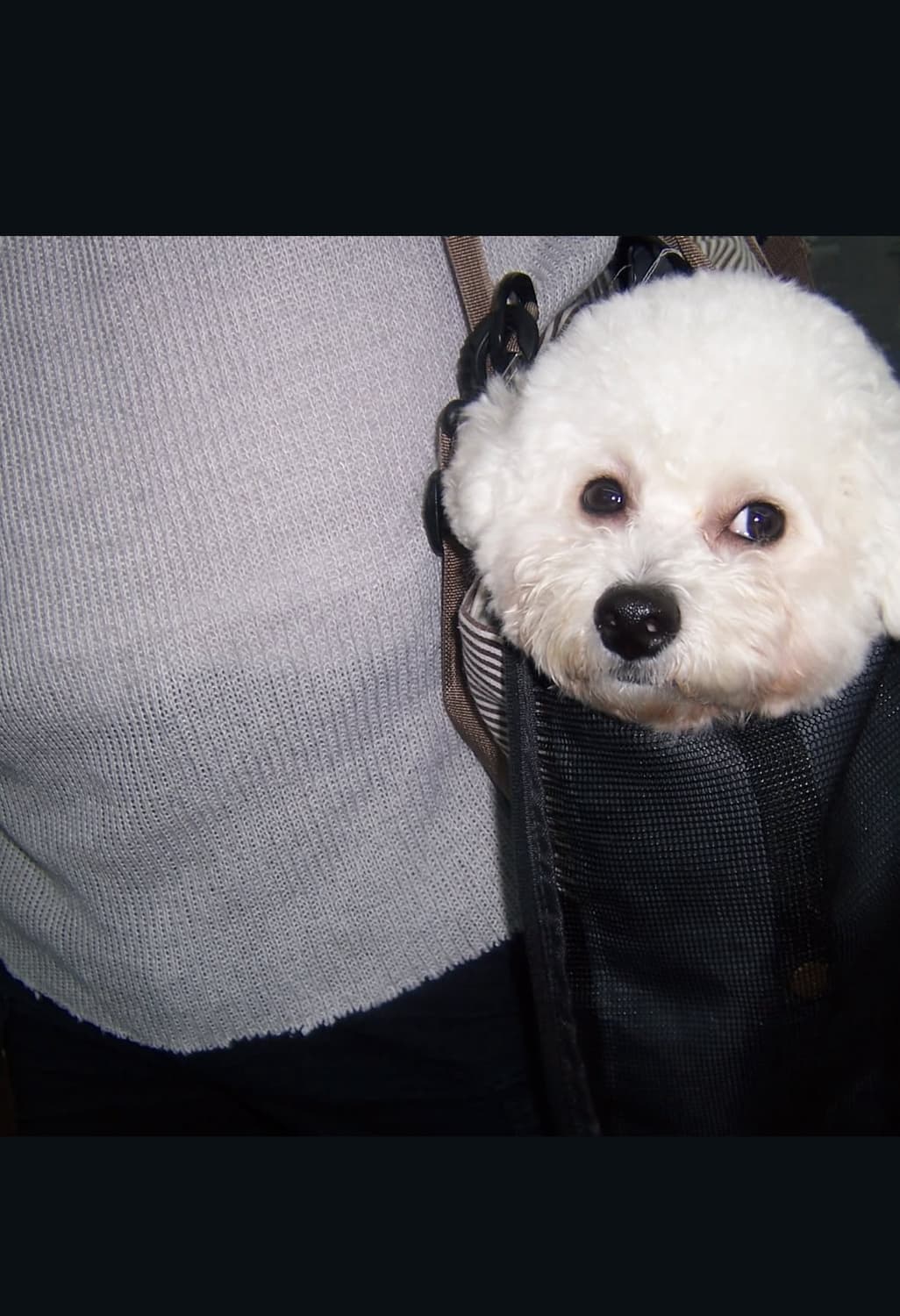 코닥 이지쉐어 dx7440 디지털카메라 상품이미지8