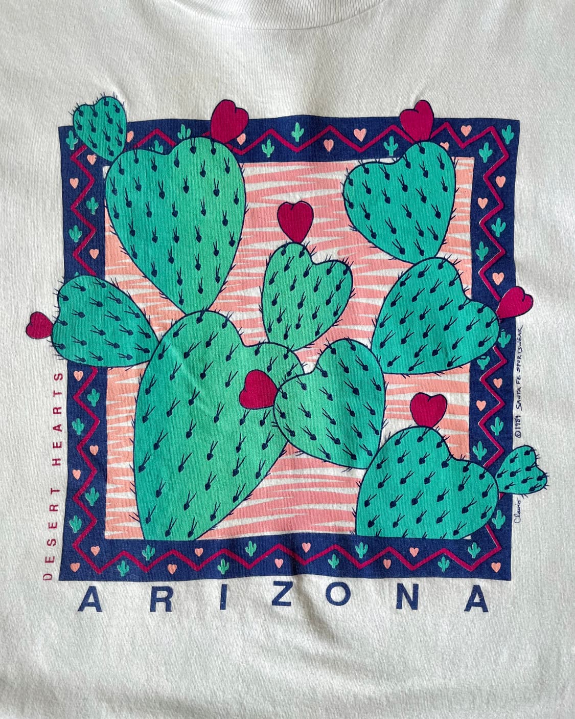 1980s "ARIZONA" USA Vintage 1/2 T-Shirt 상품이미지5