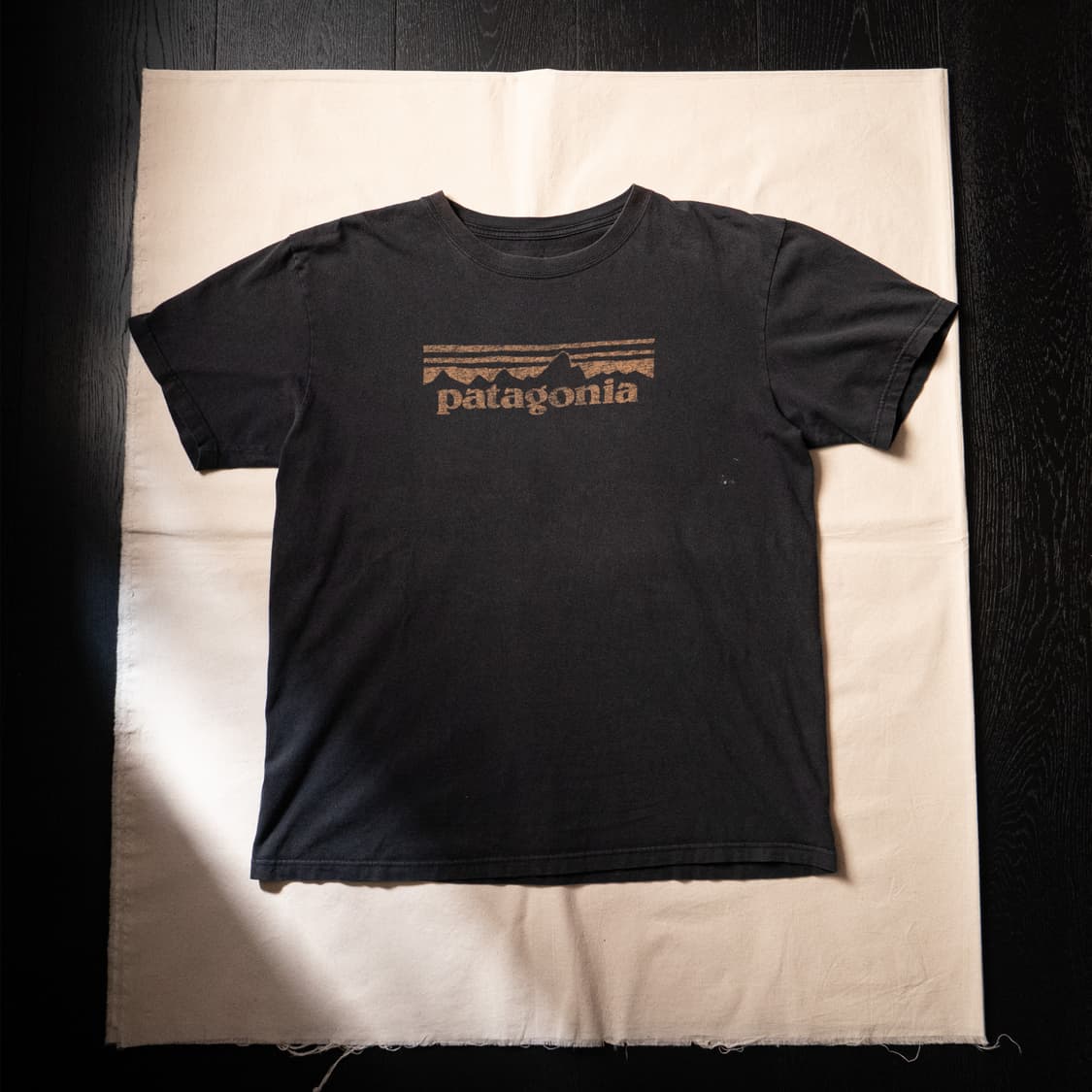 Patagonia Black Faded Logo T-Shirt (~103 상품이미지1