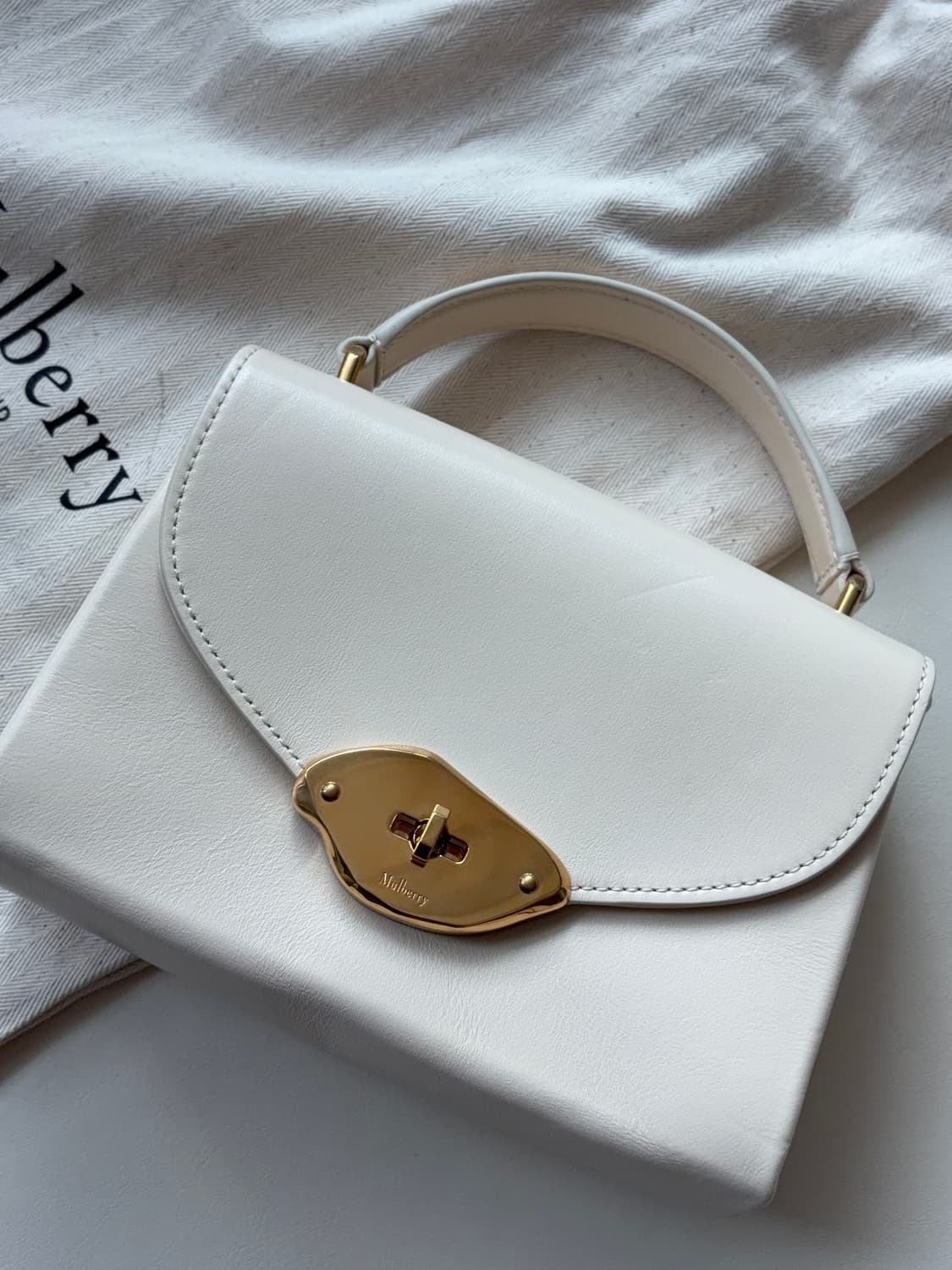 멀버리 스몰 라나 탑 핸들 에그쉘 상품이미지4