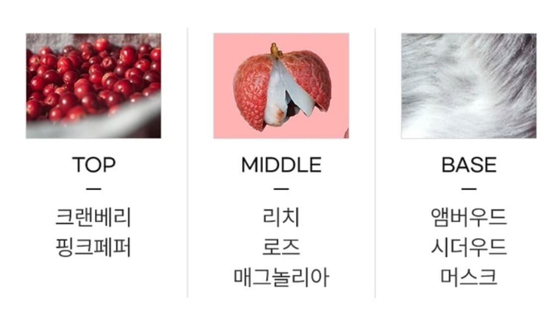 디스퀘어드2 레드우드 오드뚜왈렛 100ml 상품이미지2