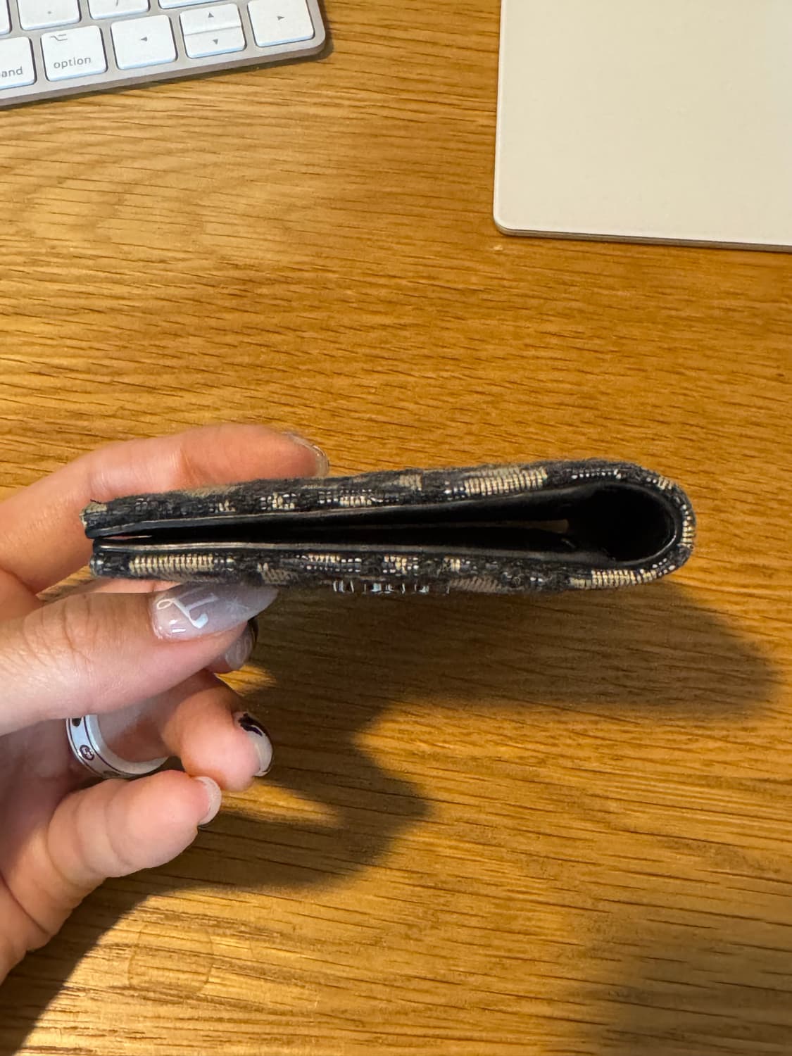 디올 오블리크 카드지갑 상품이미지5