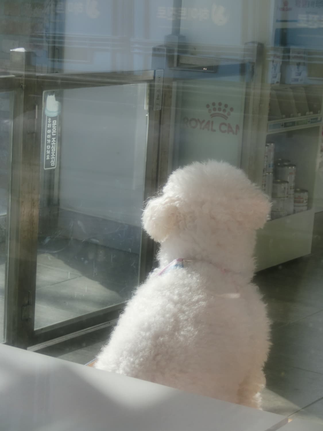 CASIO EXILIM 카시오 엑슬림 EX-ZR410 상품이미지9