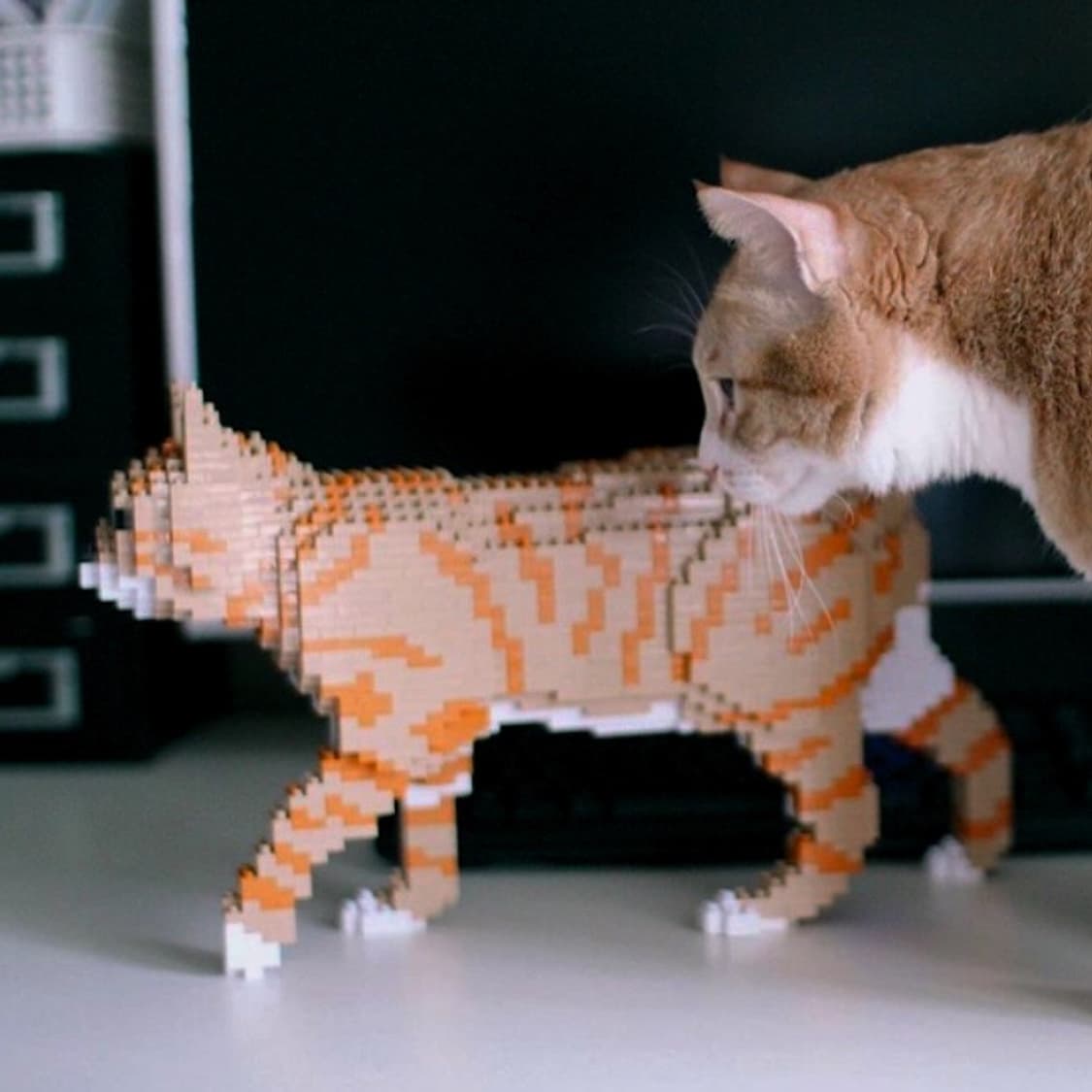 (미개봉 새제품) JEKCA 제카 블럭 고양이 시리즈 인테리어 소품 상품이미지4