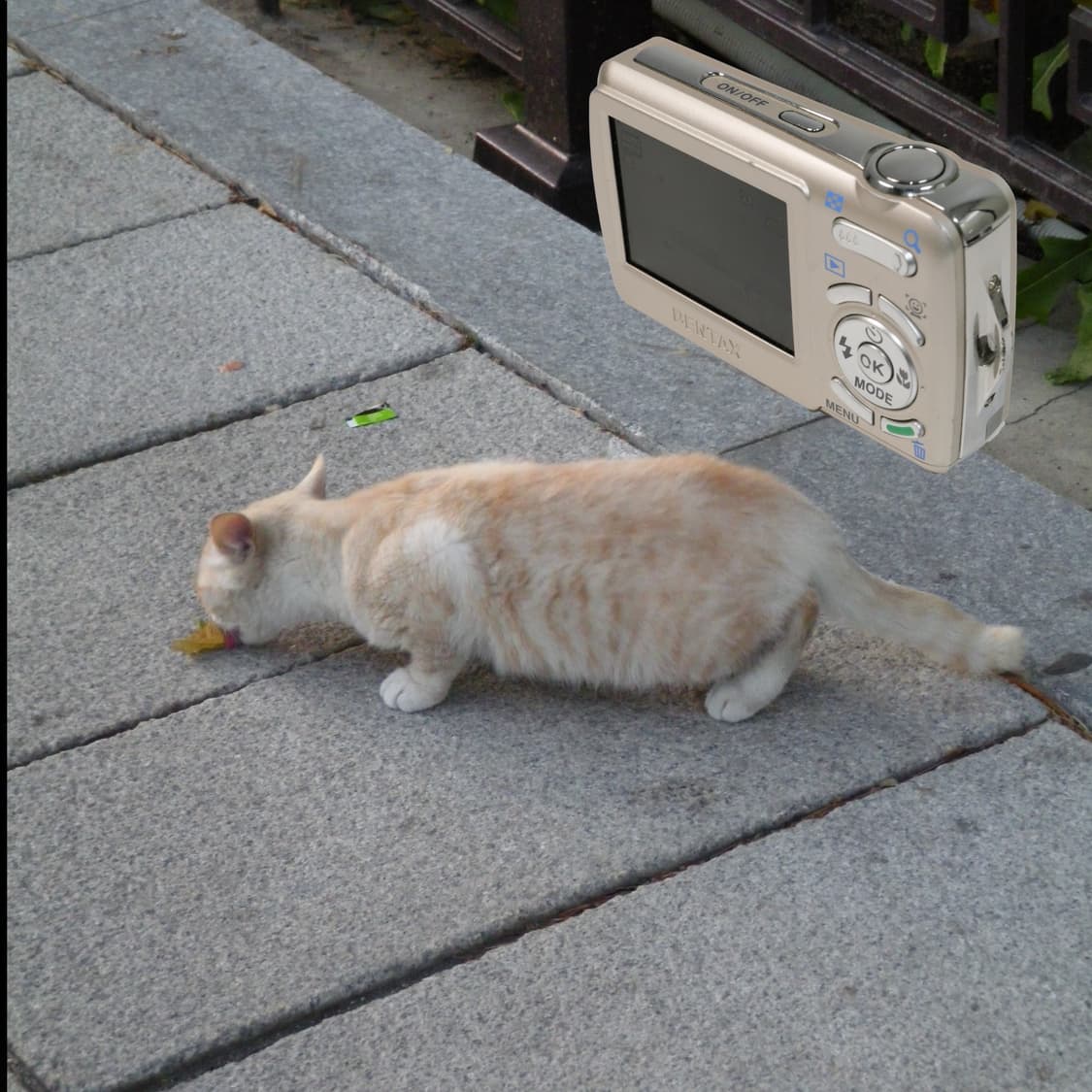 Optio E60 (✨A급/🎁풀패키지) 상품이미지5