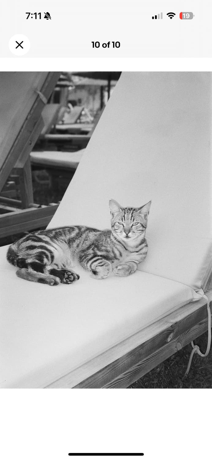 라이카 C2 최상급 상품이미지6