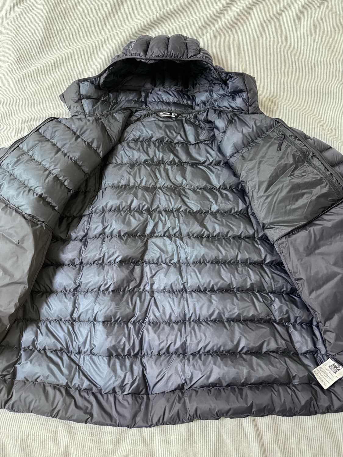 아크테릭스 세륨 후디 블랙 사파이어 상품이미지8