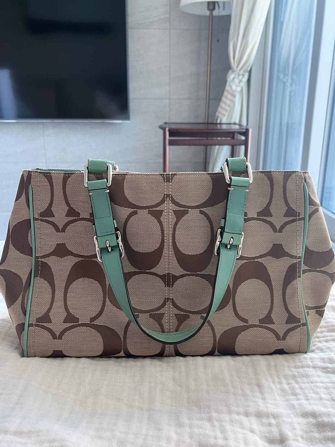 Coach 코치 민트 상품이미지3