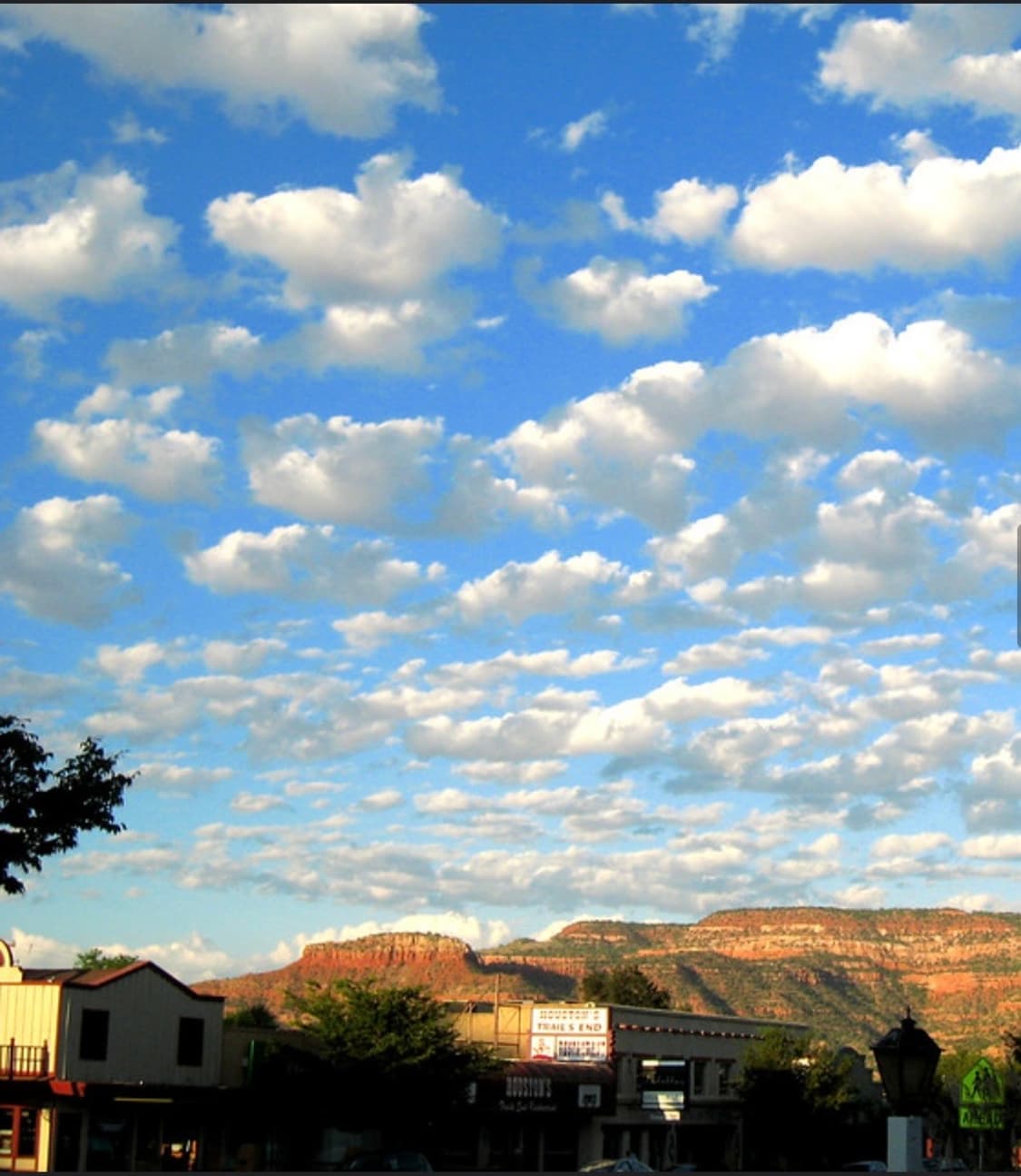 💖📸✨ 캐논 익서스 850 IS + 가죽케이스 세트 ✨📸💖 상품이미지9