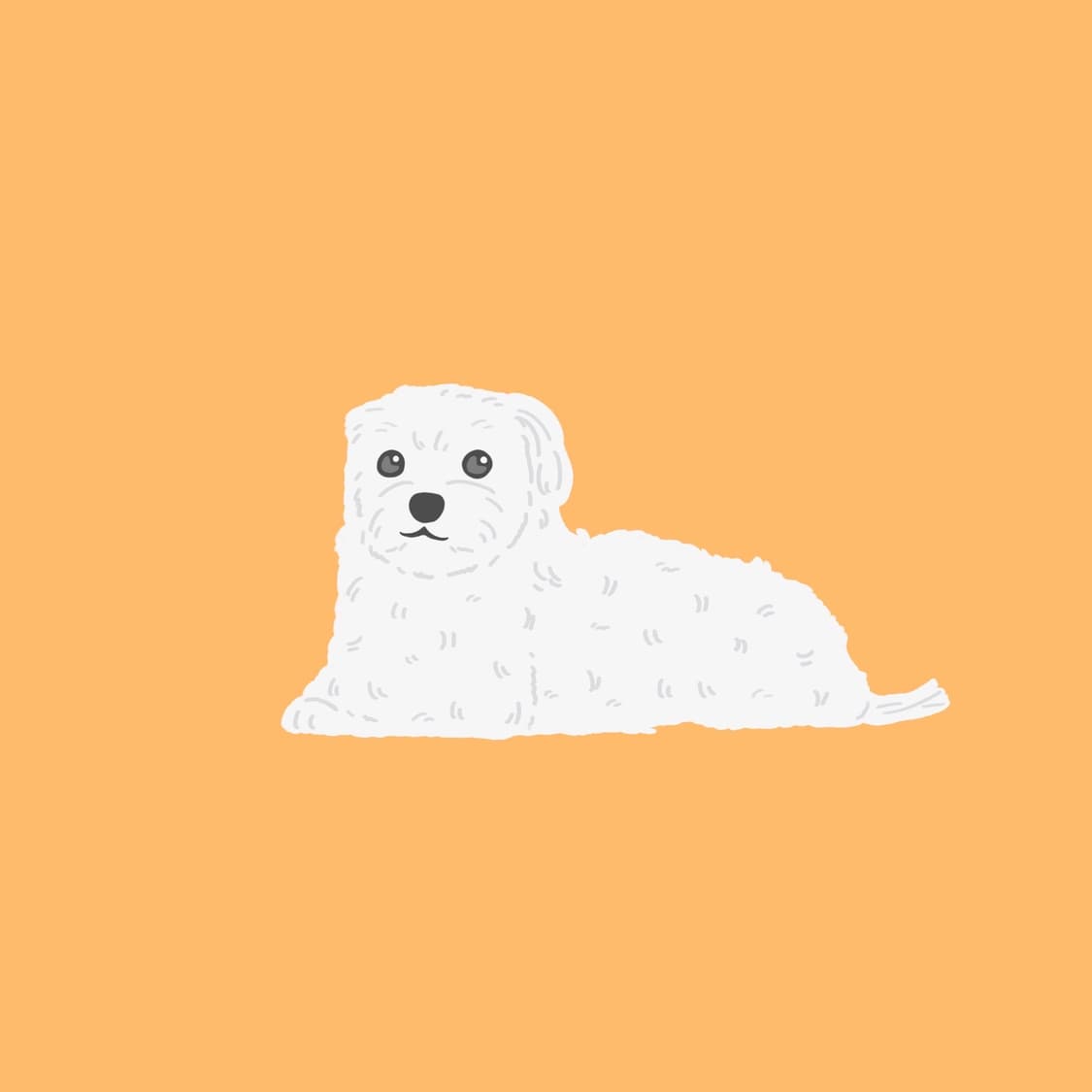 인스탁스 상품이미지1