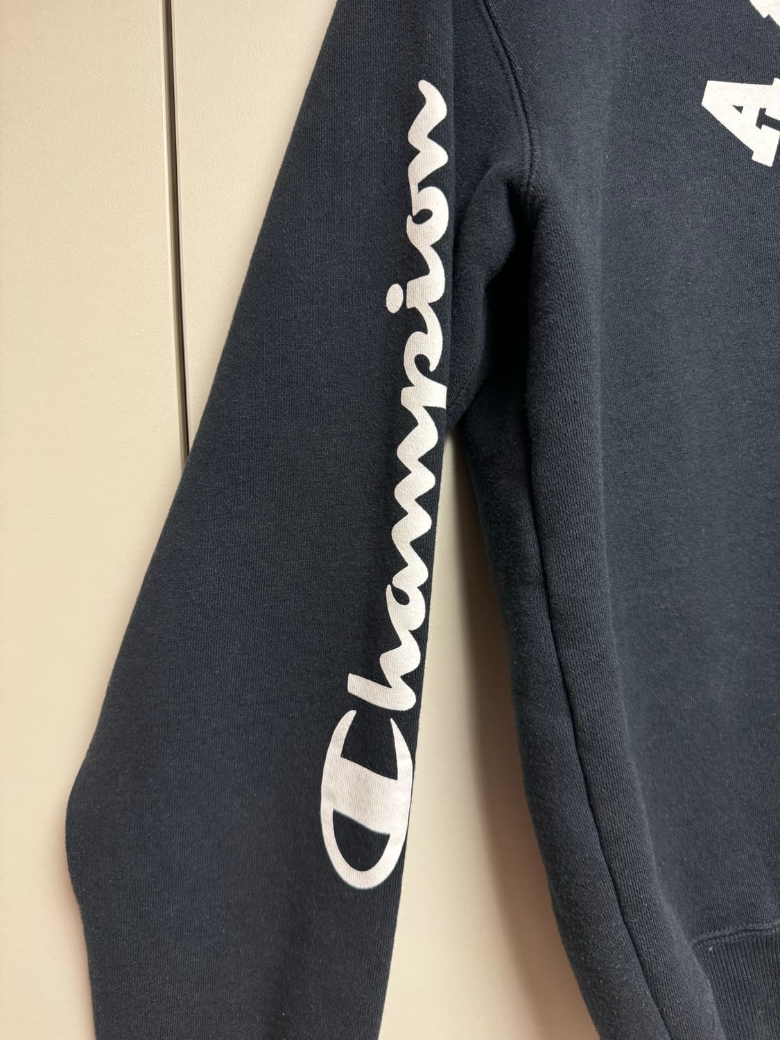 Bape X Champion 콜라보 맨투맨 상품이미지3