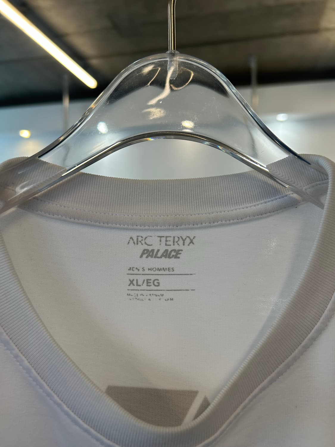 PALACE X ARC'TERYX t-shirt 상품이미지6