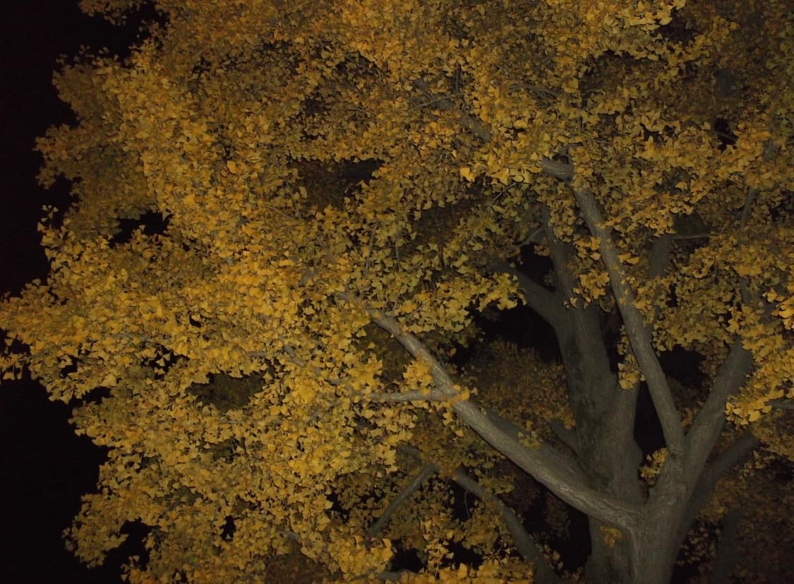 후지필름 FinePix JV250 풀박스 구성 판매합니다 상품이미지4