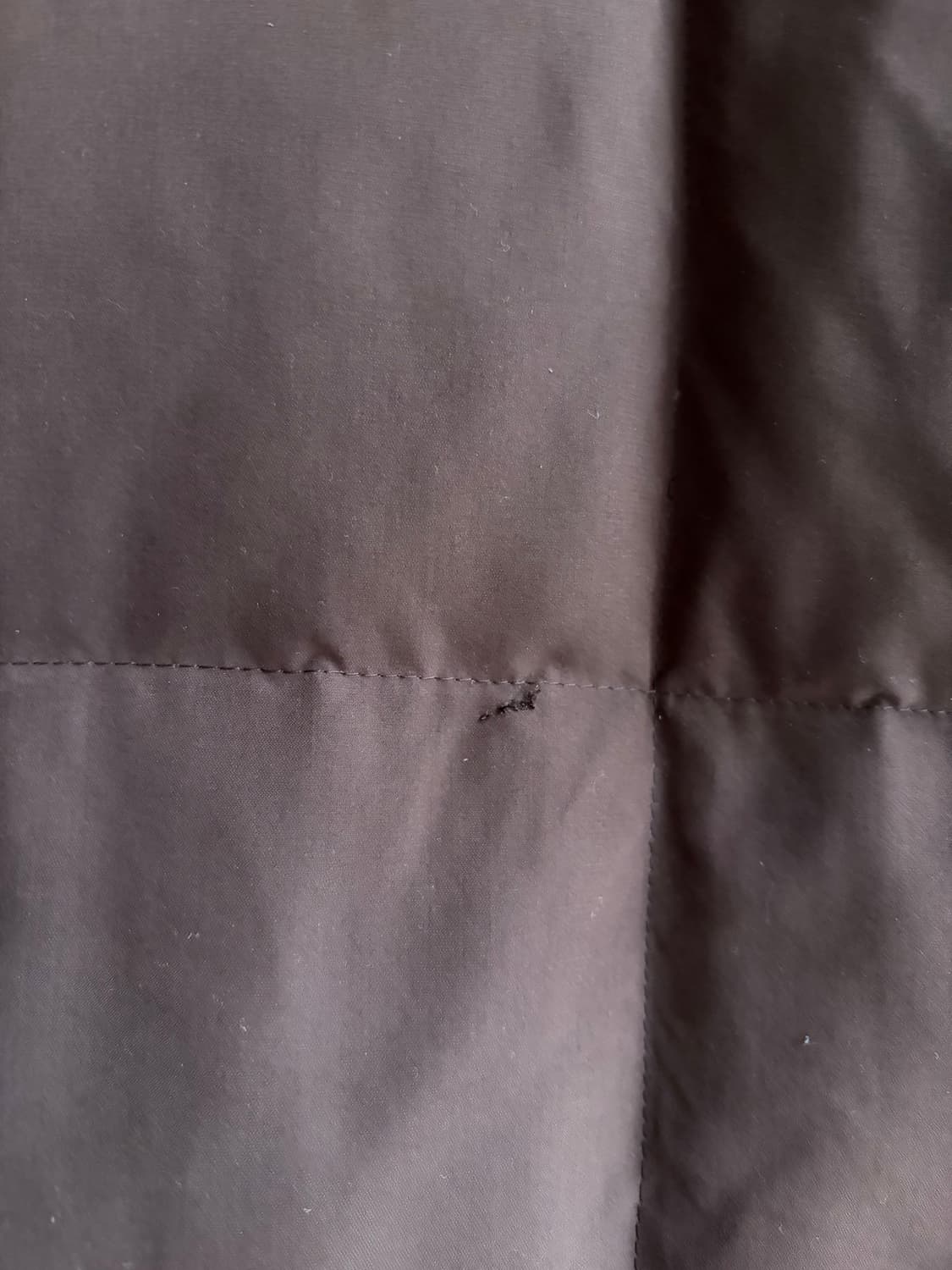 버버리 런던 브라운 덕다운 패딩 상품이미지9