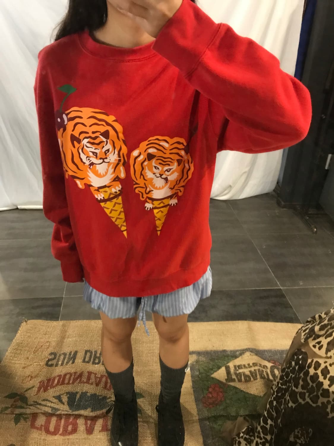 BBC tigger ice cream sweatshirt 상품이미지1