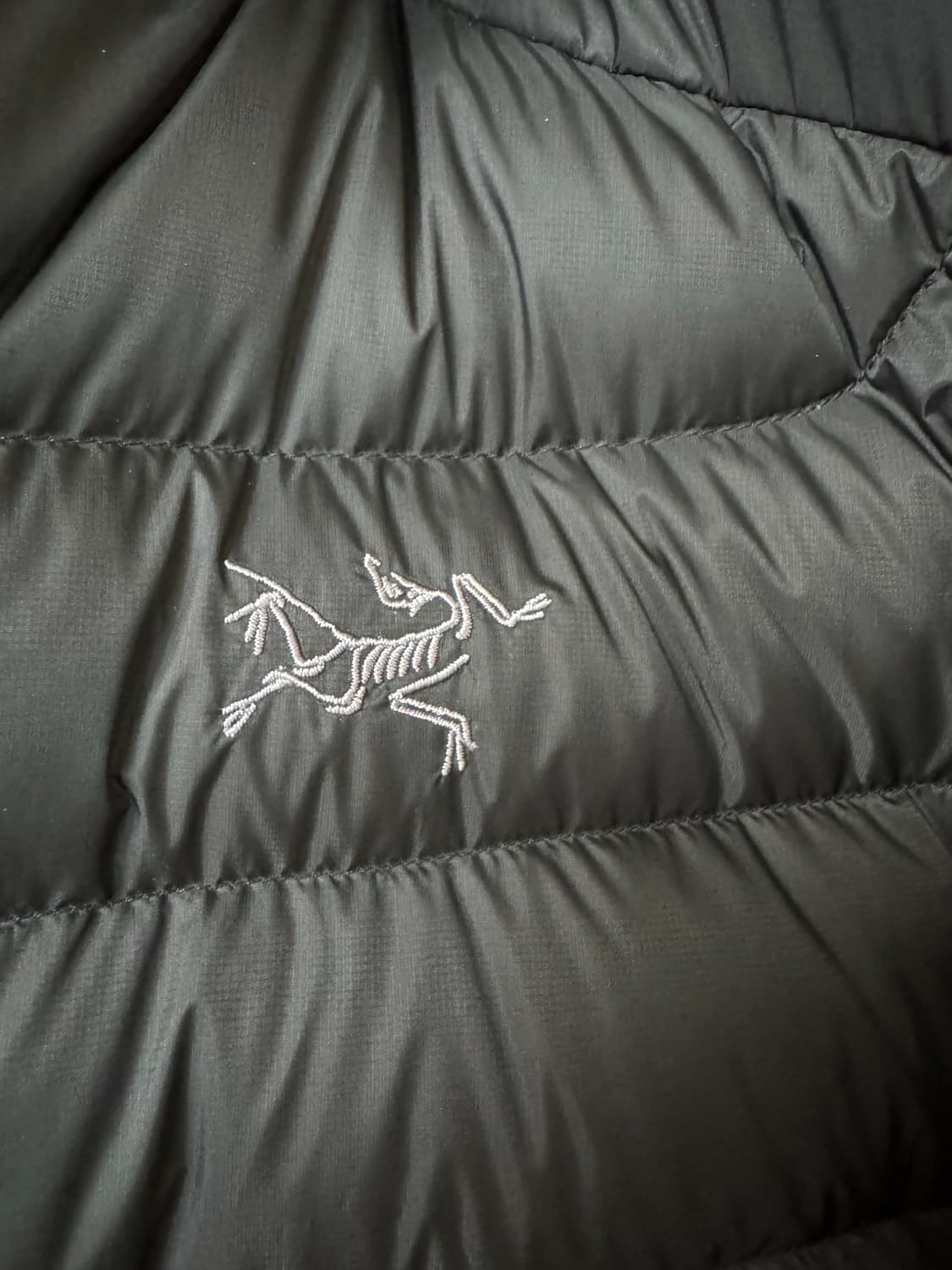 아크테릭스 세륨 후디 블랙 L 상품이미지6