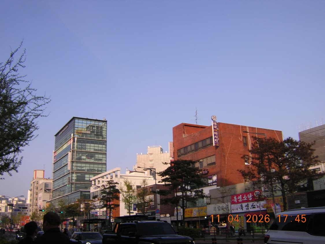 니콘 쿨픽스 2100 사쿠라디카 Nikon Coolpix 빈티지 디카 상품이미지9