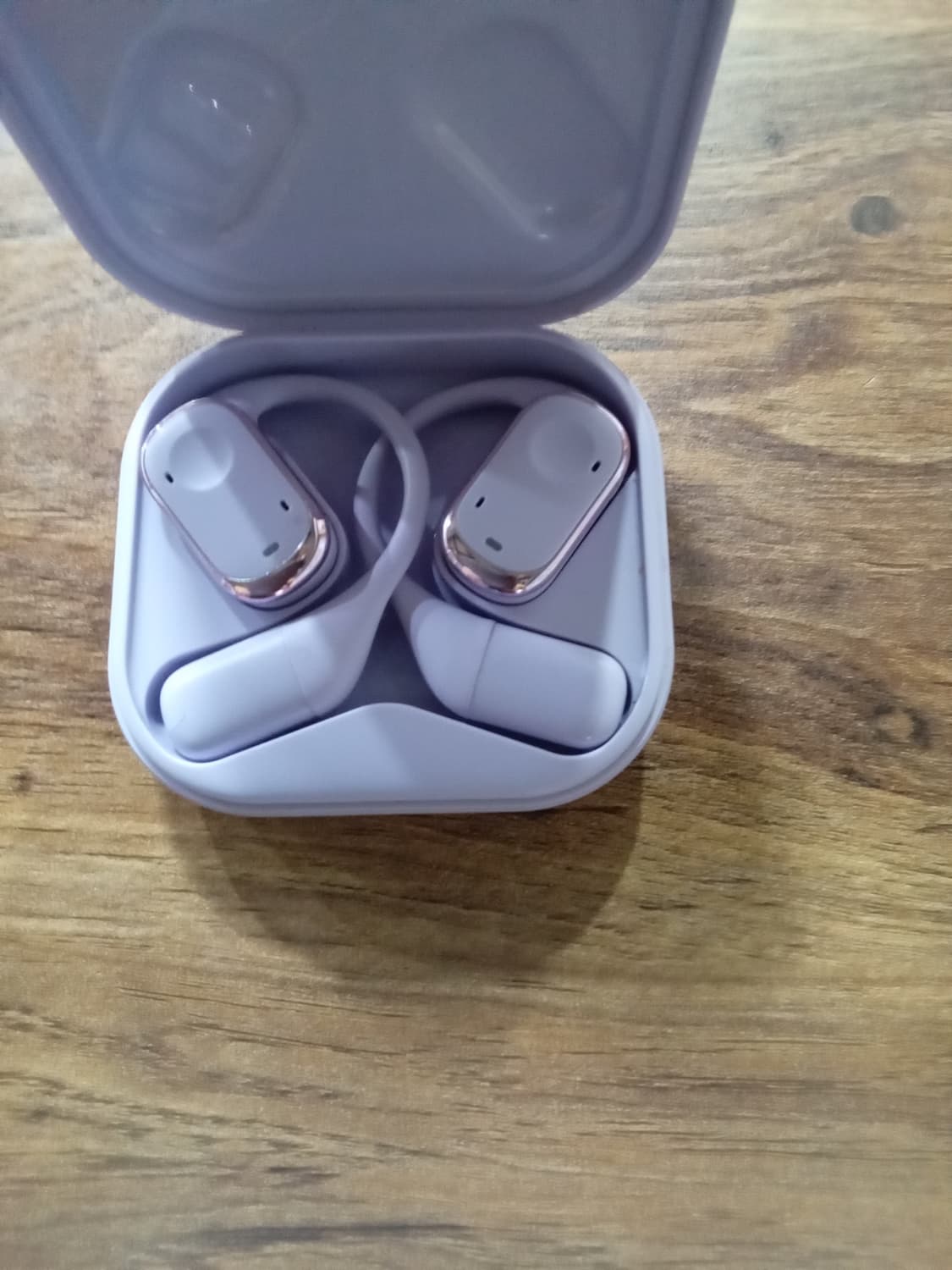 블라우풍트 이어폰 상품이미지2