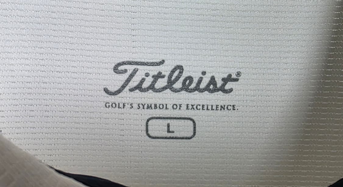 타이틀리스트 남성 골프반팔티 100 빅로고 MN04 상품이미지2