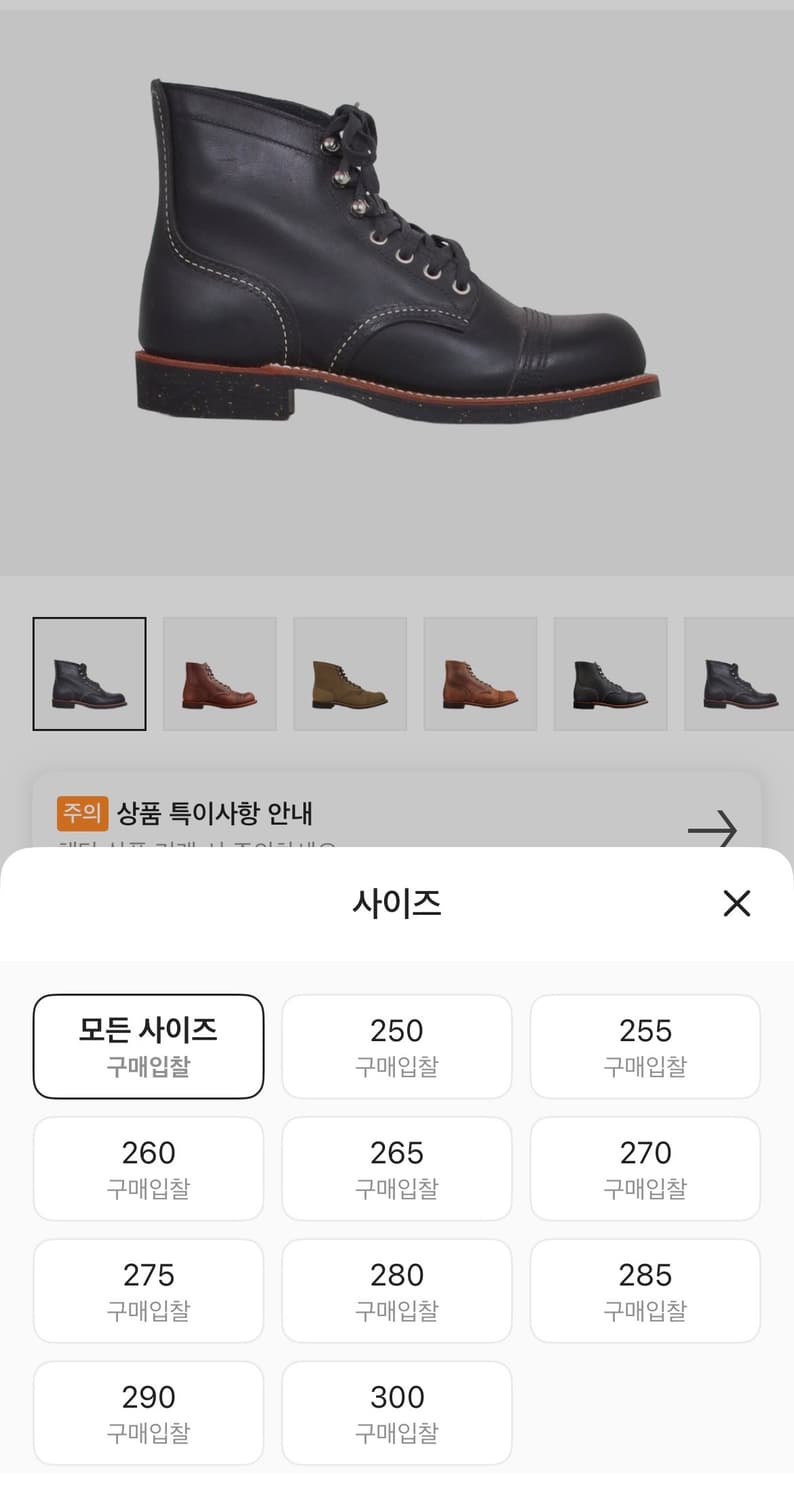 레드윙 아이언레인저 블랙 크롬 260 상품이미지10