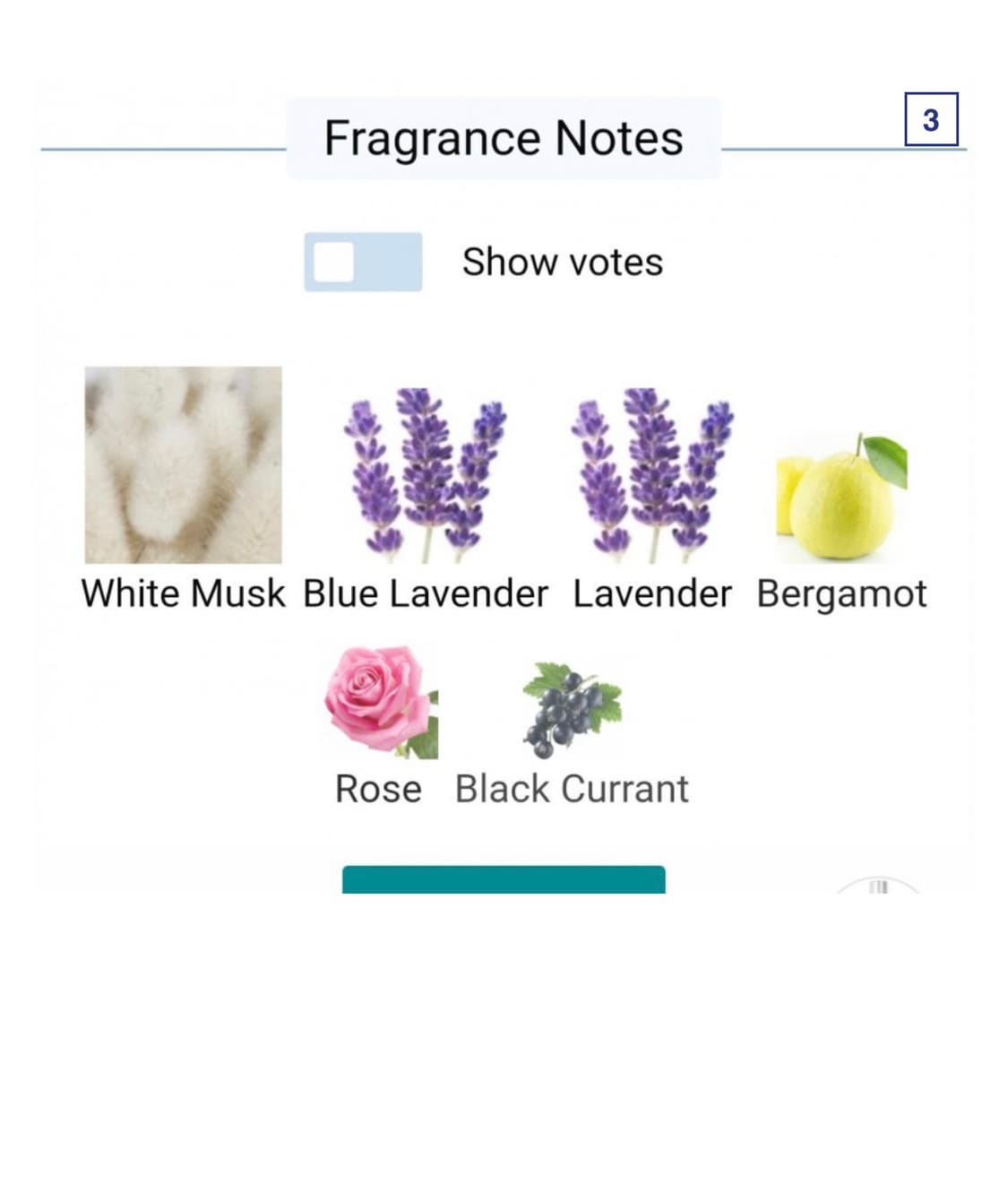 [백화점국문]록시땅 라벤더블랑쉬 바디밀크 바디로션 라벤더머스향 국내품절 상품이미지4